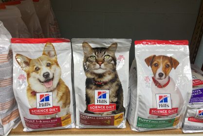 Cat food and dog food