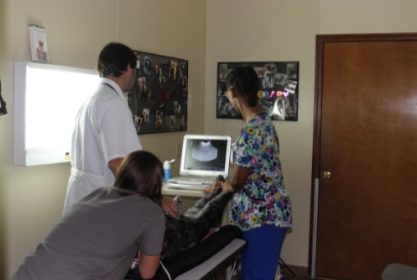 Doctors looking at ultrasounds